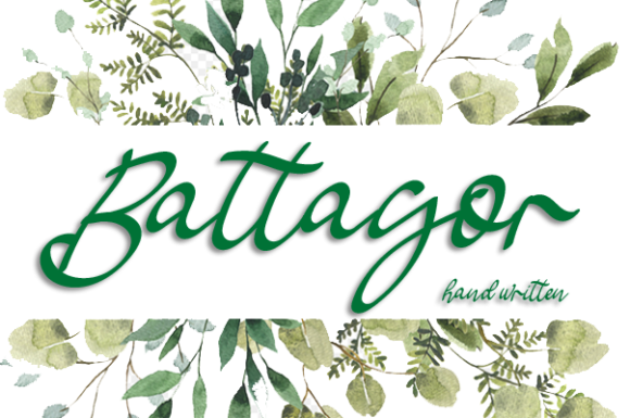 Battagor: A Delicate Script Font for Web Design