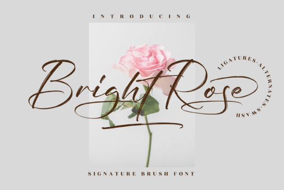 Bright Rose: A Script Font for Editorial Elegance