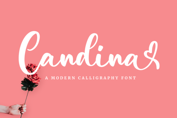 Candina: A Romantic Script Font for Luxury Branding