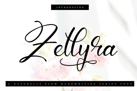 Zellyra: A Modern Script Font for Campaign Creativity